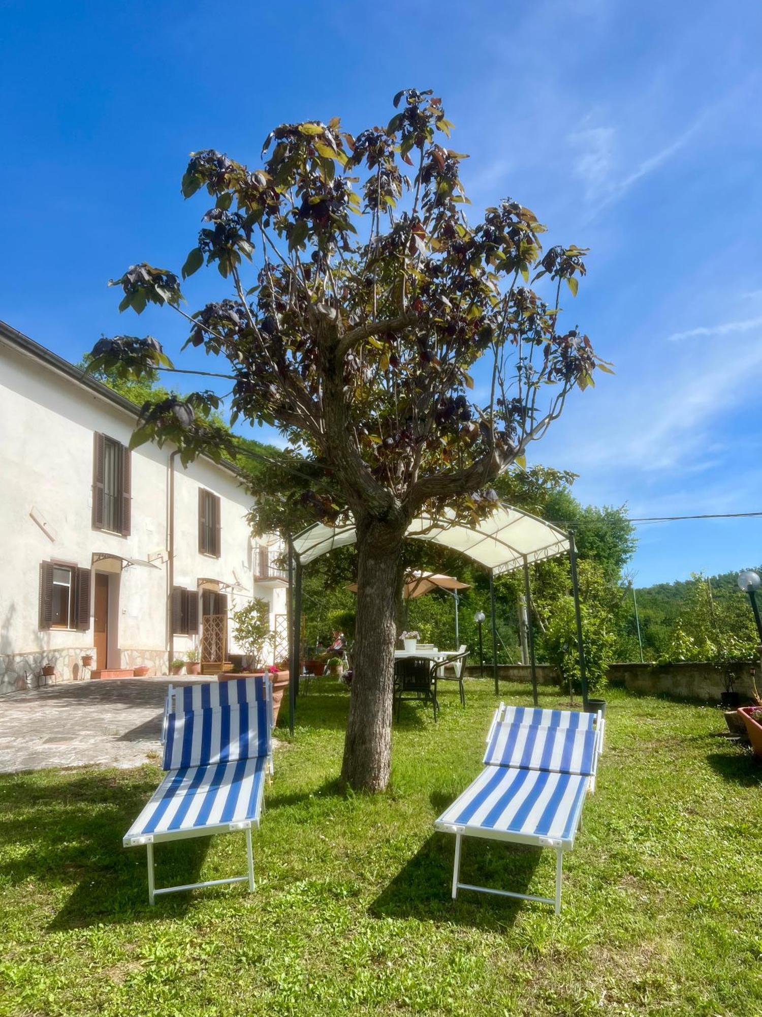 Chez Vittoria Hotel Greccio Exterior photo